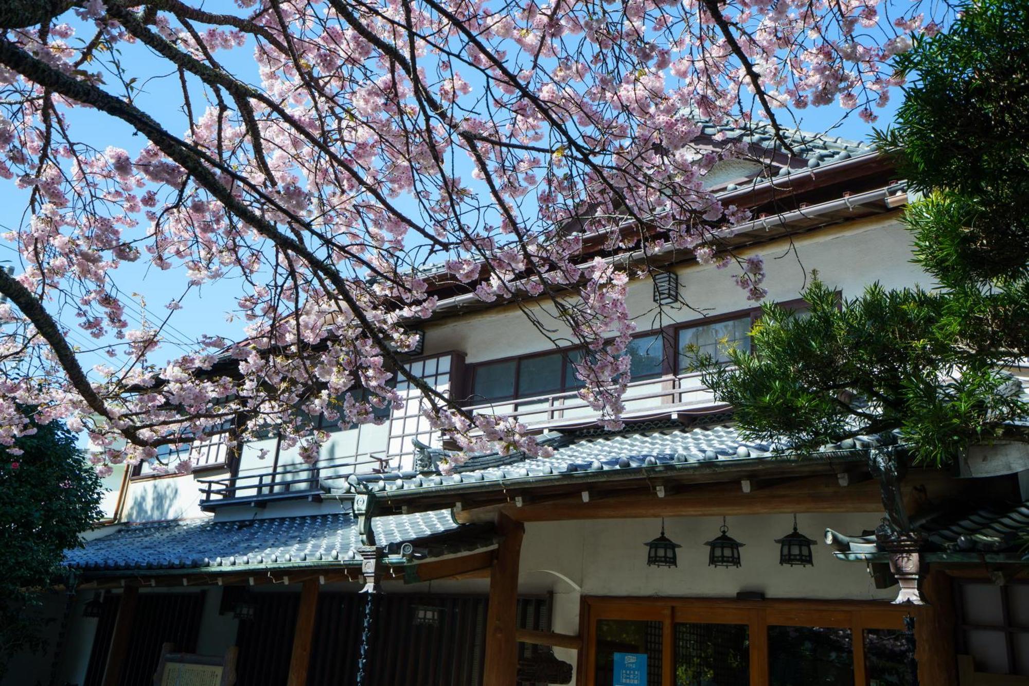 Sakahijiri Gyokushoen Bán đảo Izu Ngoại thất bức ảnh